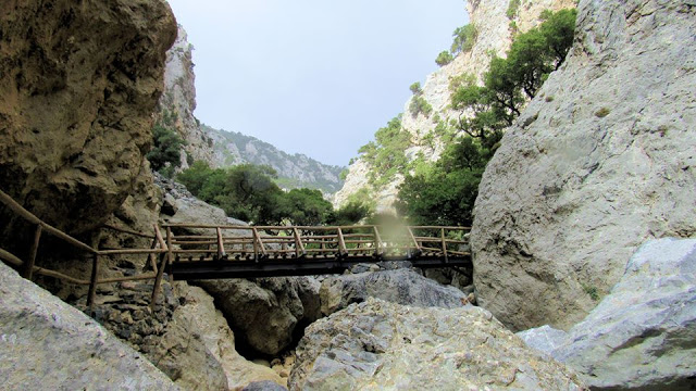Πεζοπορία στο δάσος και το φαράγγι του Ρούβα