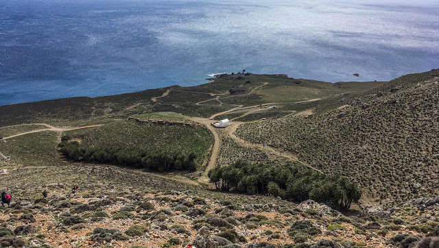 Τσούτσουρας, Μαριδάκι, φοινικόδασος Άη Νικήτα