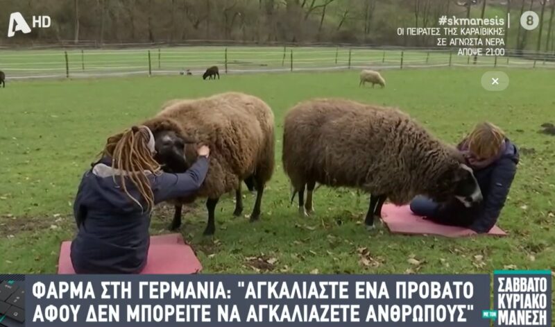 Η φύση στο … τεχνητό αστικό περιβάλλον