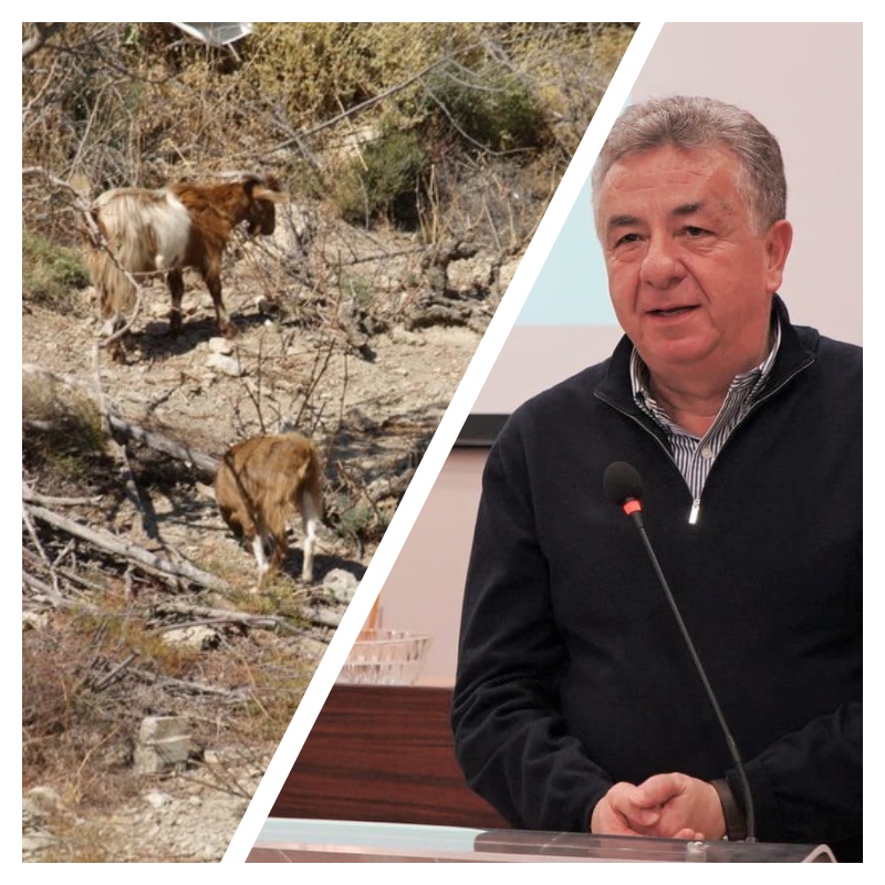κύριε Αρναουτάκη, δώστε μου πίσω το αμπέλι του παππού μου και μετά μιλάμε για οικόσιτα