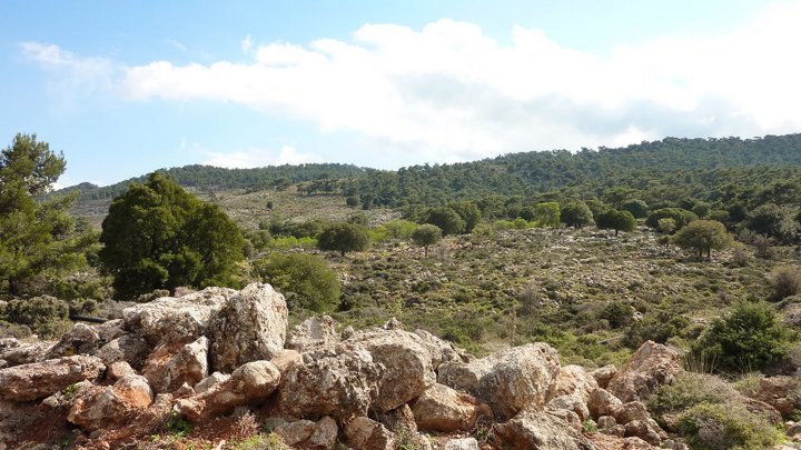 Πεζοπορία στα Μινωικά μονοπάτια του Κρούστα