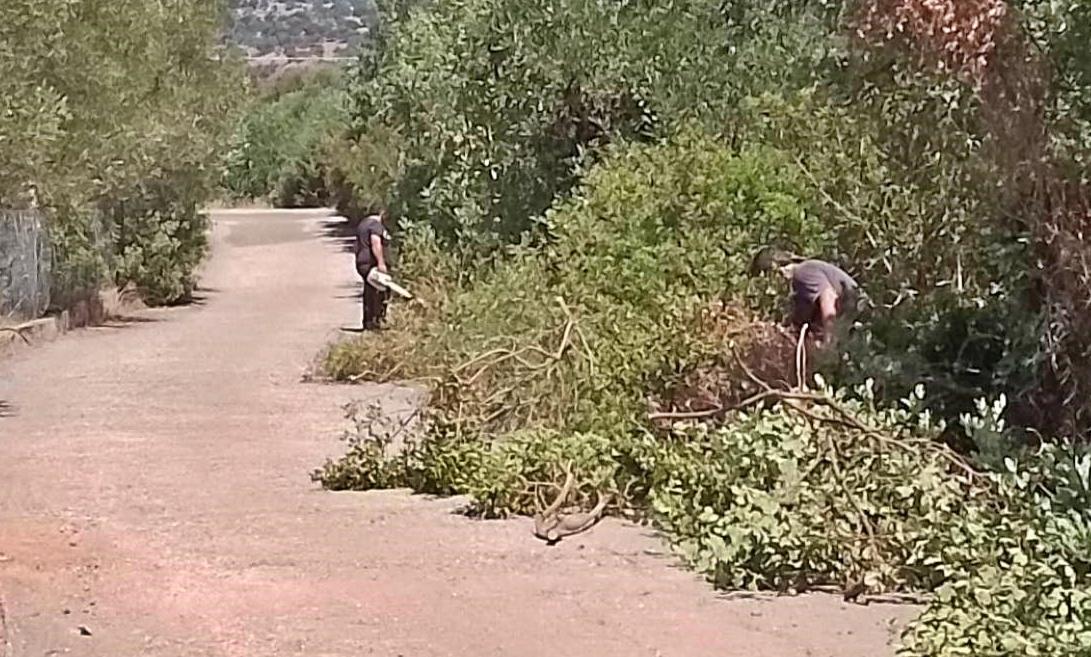 Ευπρεπίζοντας τα Μέσα Λακώνια εν μέσω ζέστης