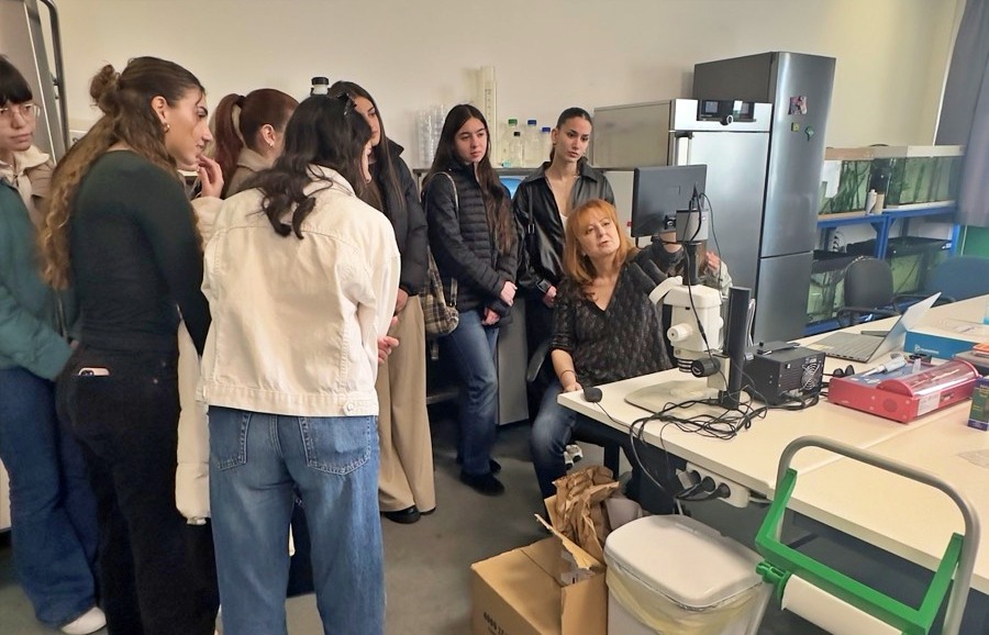 Σημερινοί μαθητές και αυριανοί φοιτητές: Επιλέγω, αφού ενημερώνομαι