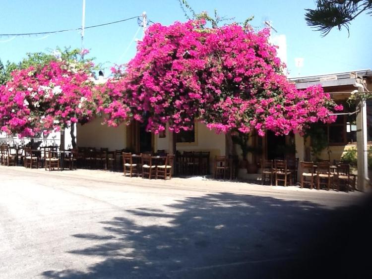 Εθελοντικός καθαρισμός στη κοινότητα Έξω Λακωνίων