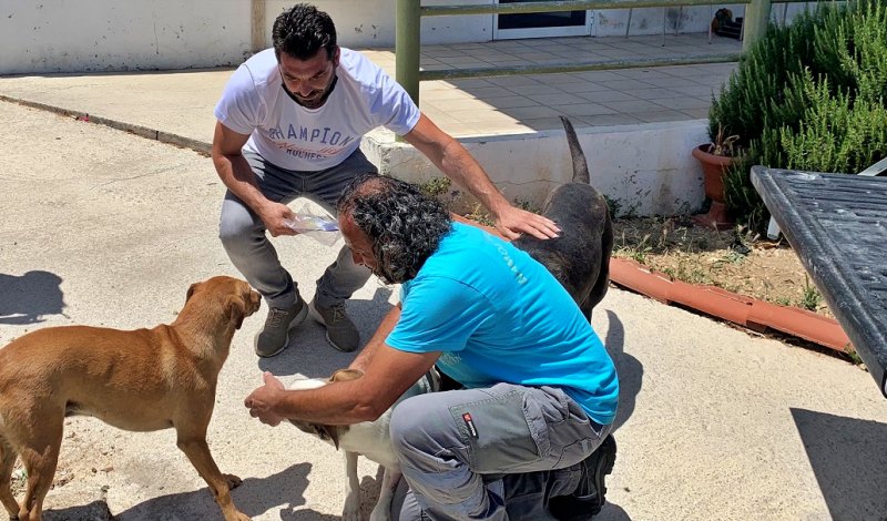Σε υιοθεσία αδέσποτων ζώων προχώρησαν οι εργαζόμενοι στην Καθαριότητα του Δήμου Ηρακλείου