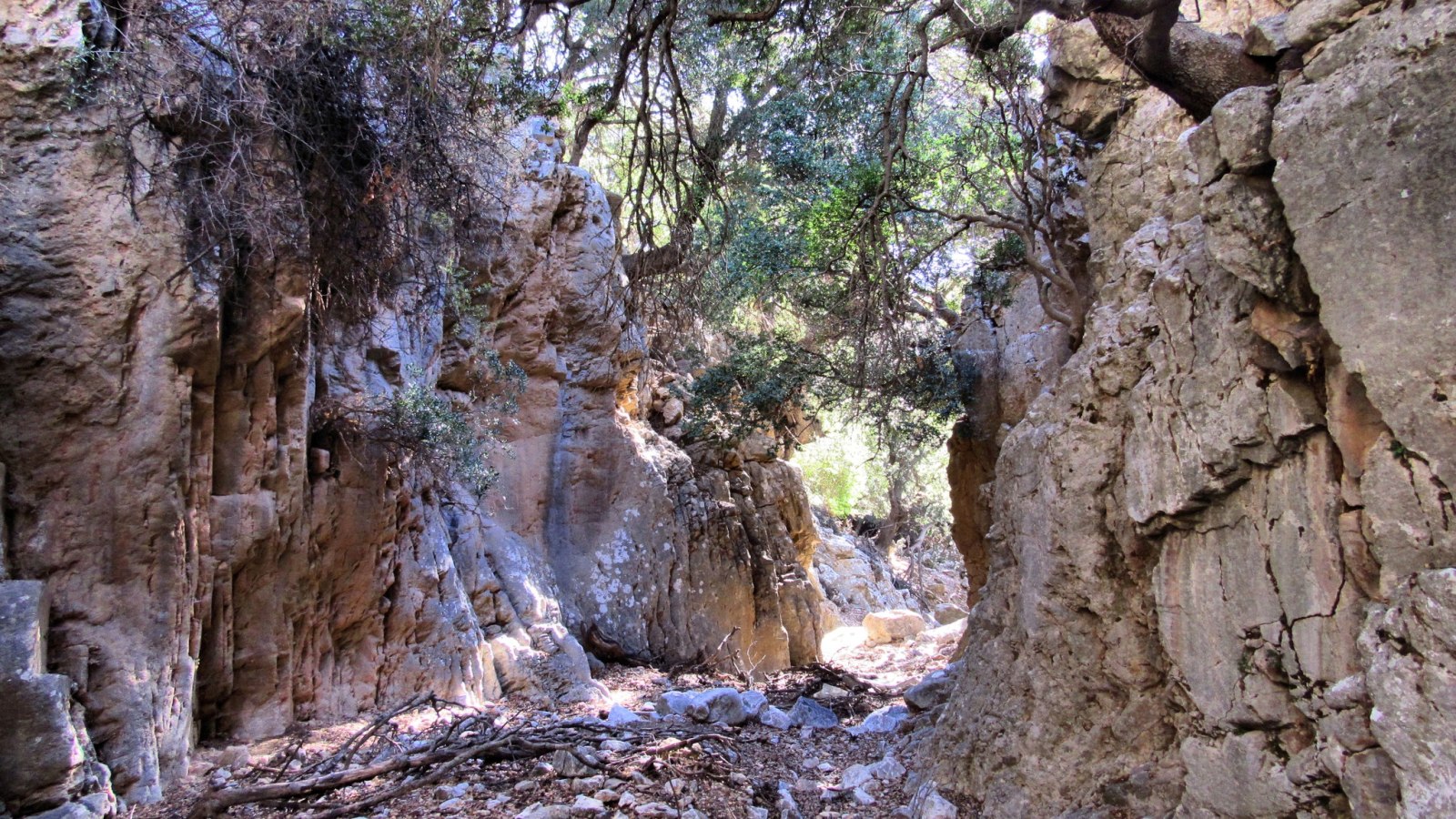 Φαράγγι Κριτσάς, φαράγγι Ευγενού, ρακοκάζανο στις Τάπες