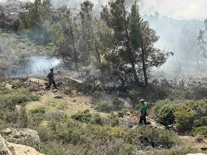 ο Δήμαρχος Ιεράπετρας για τη φωτιά κοντά στις Μάλλες